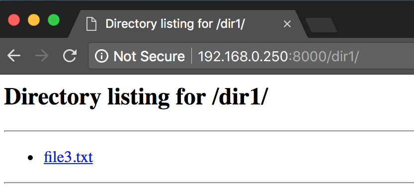 dir1 directory listing